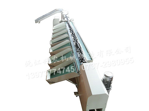 	智能化水果分選機——單線(xiàn)道電腦分選機